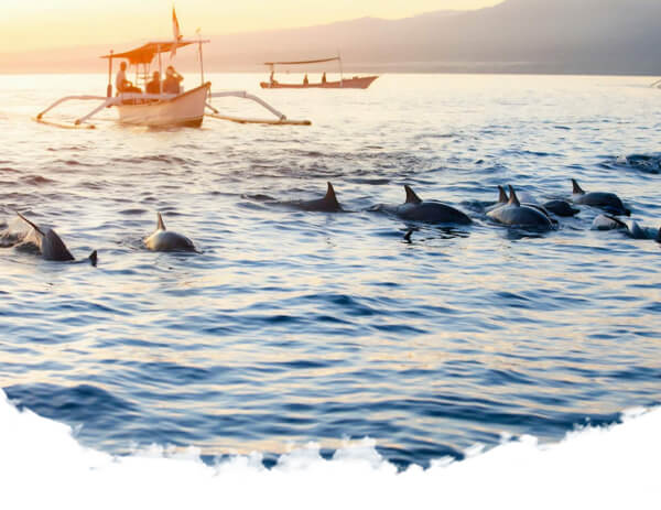 Explore Lovina's black sand beaches, go dolphin watching, or simply unwind in its laid-back atmosphere.